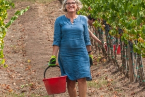 Vendemmia in vigna e in cantina