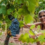 Vendemmia_MMXX_48