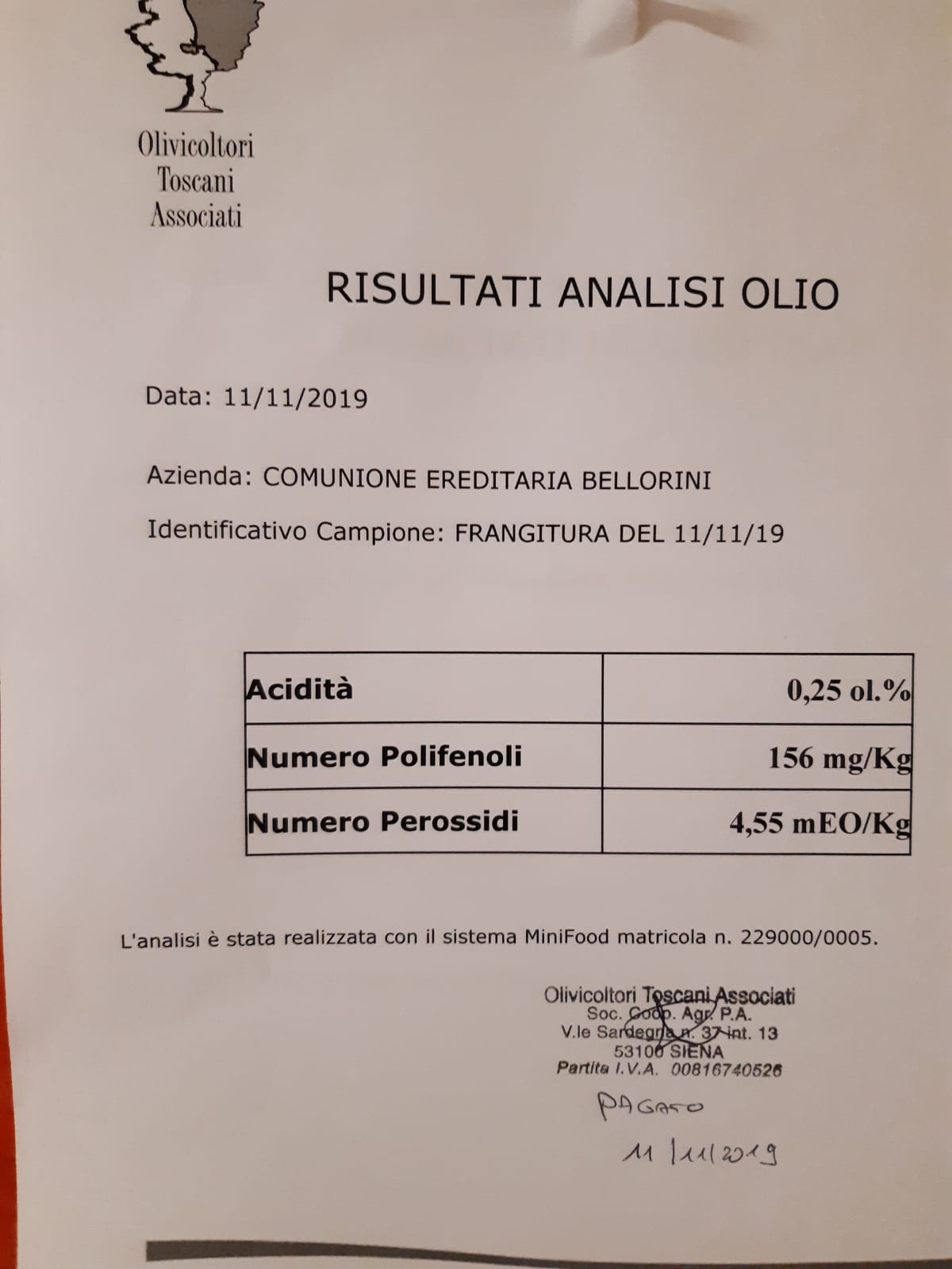 analisi chimiche olio